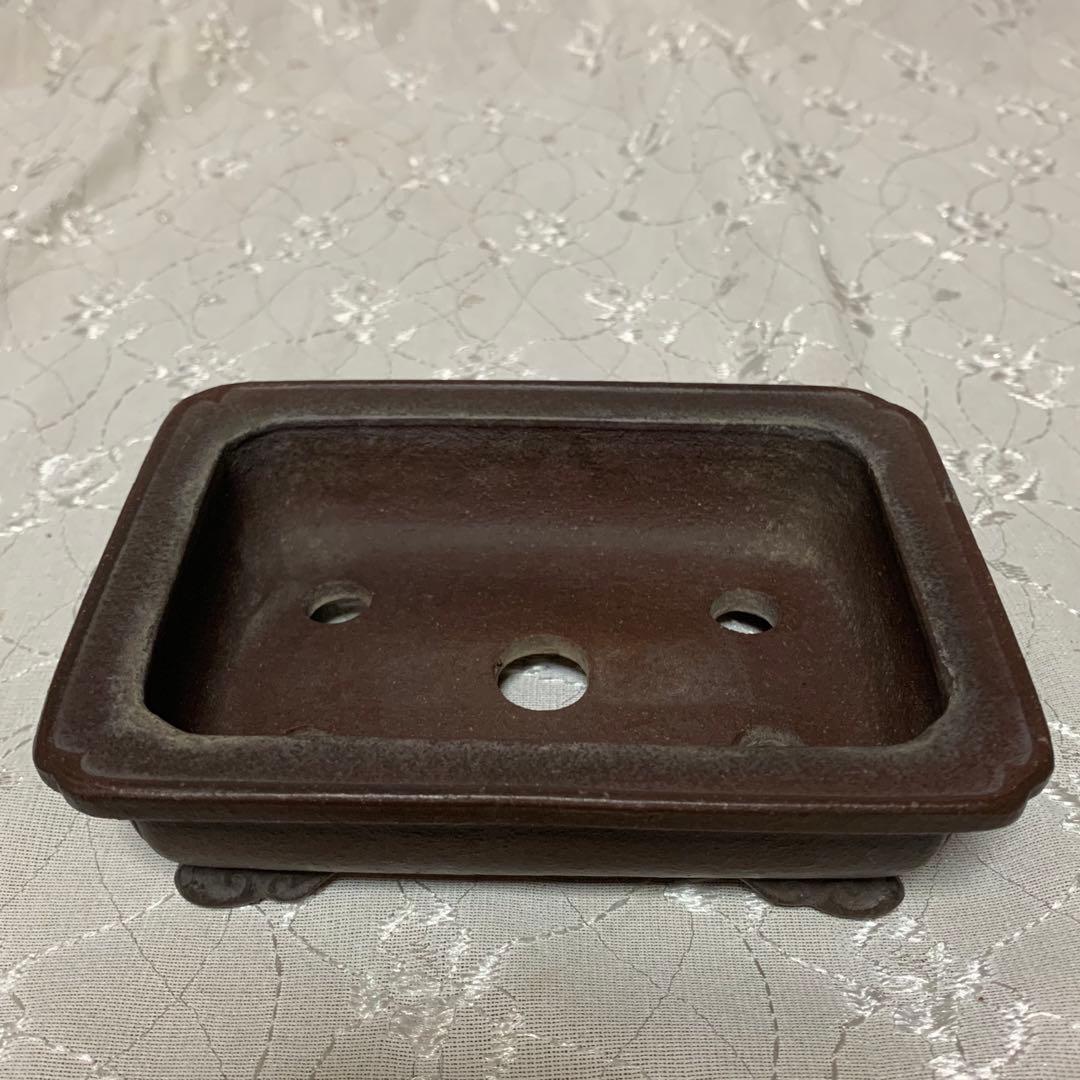 銭号　ほつれあり　訳あり　盆栽鉢