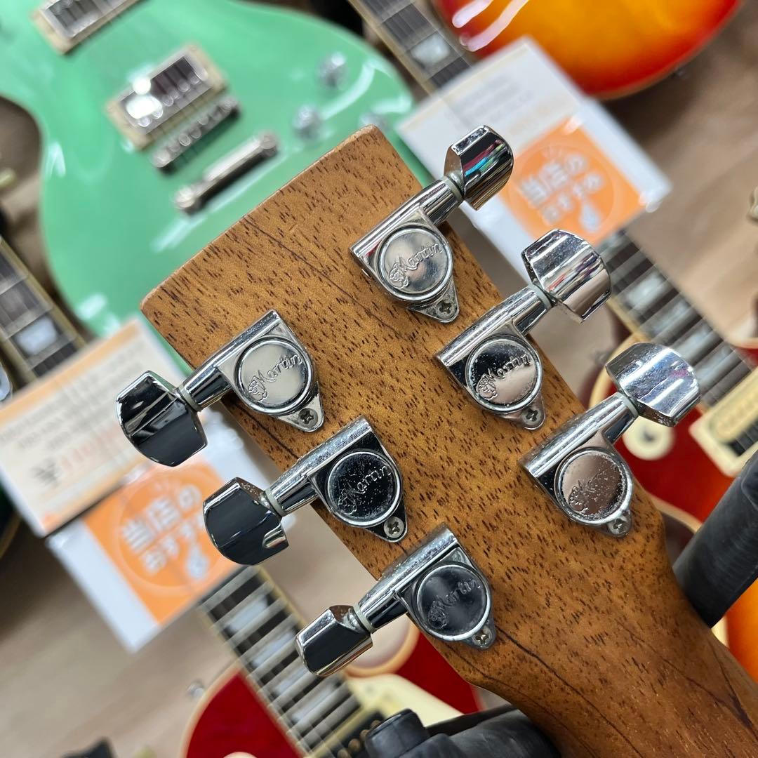 【11331】MARTIN The Backpacker