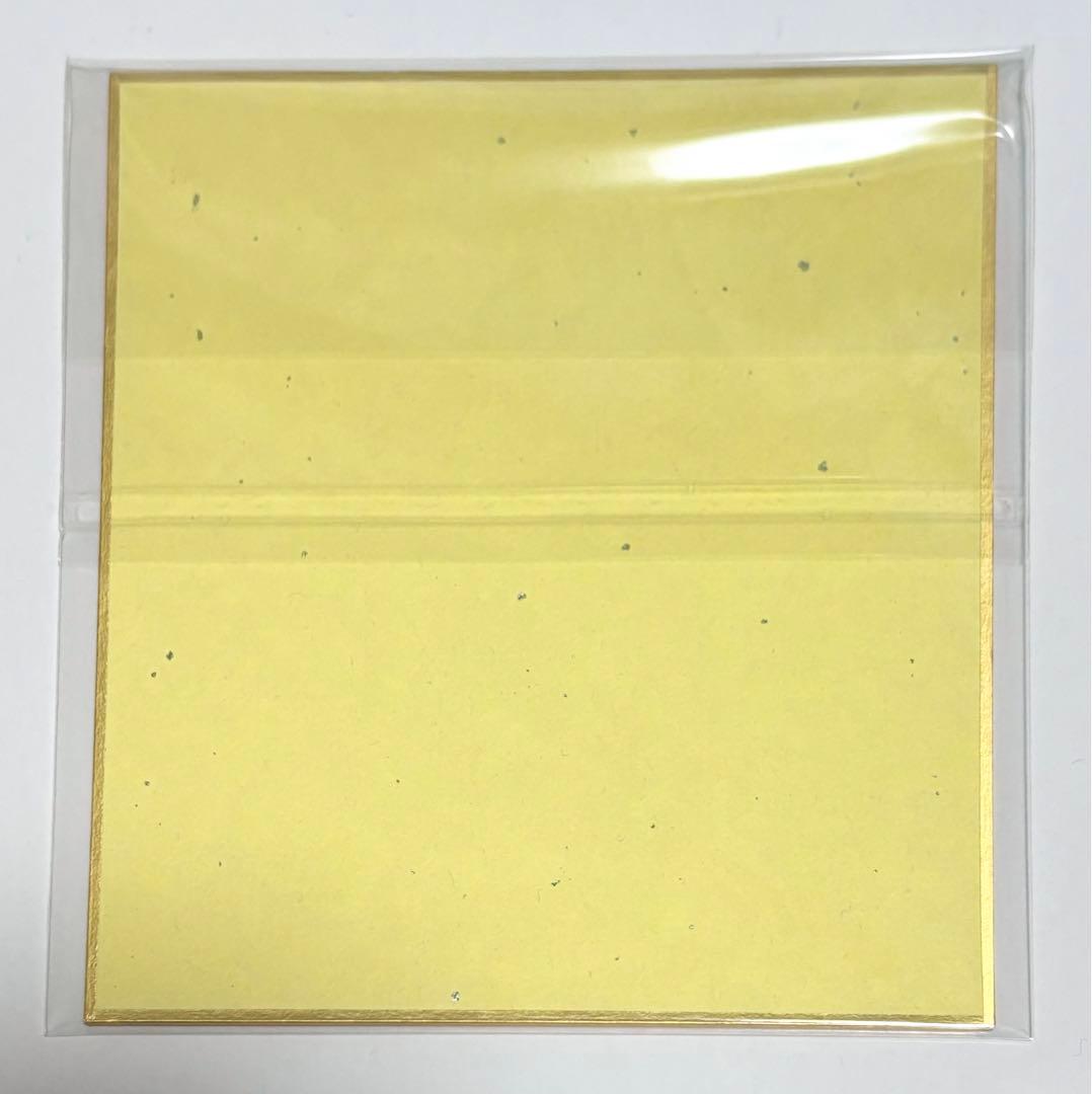 【美品】忍たま乱太郎 善法寺伊作 一年生の頃 ミニ色紙