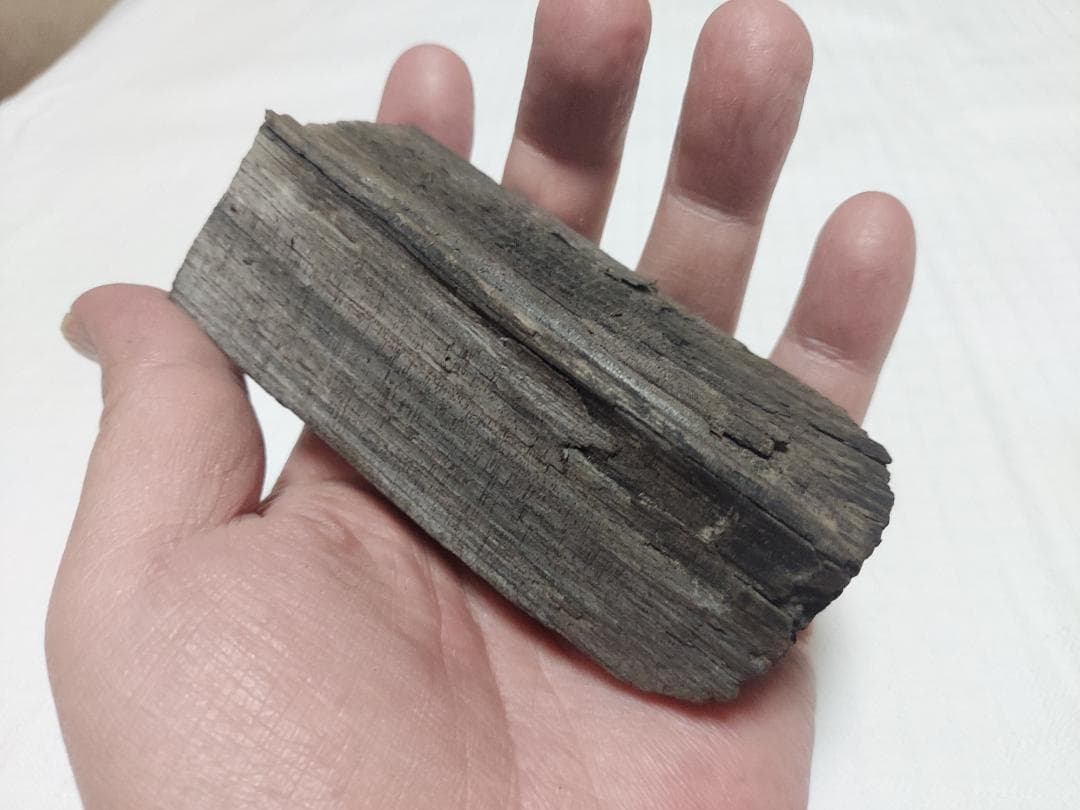 阿武隈川産 埋もれ木（割３）　新古今和歌集に詠まれた本物の伝承品