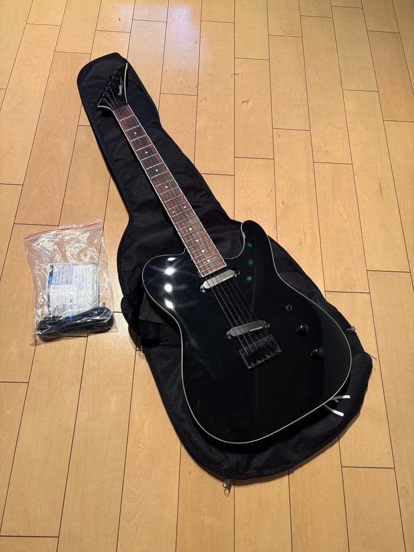 ギター Fernandes Limited EditionTEJ-STD 2S '24