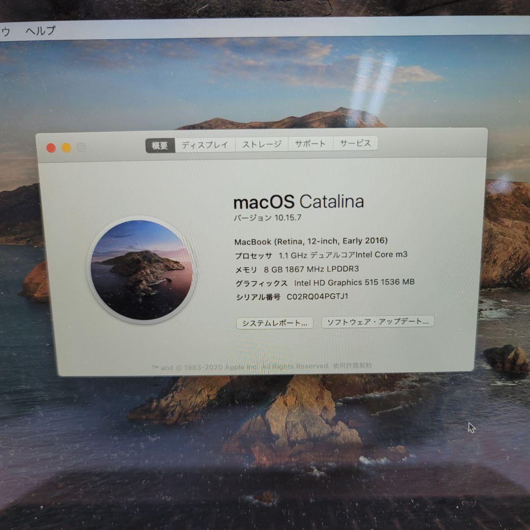 MacBook本体 Macbook Retina 2016 Gold - 256 GB