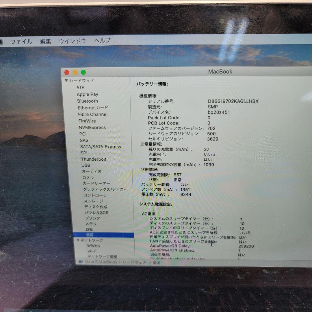 MacBook本体 Macbook Retina 2016 Gold - 256 GB