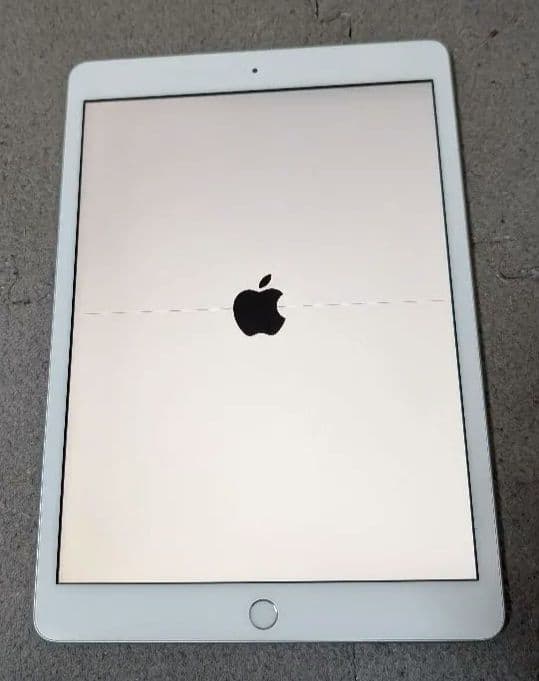 ジャンクApple iPad 第8世代 32GB Wi-FIモデルシルバー 本体