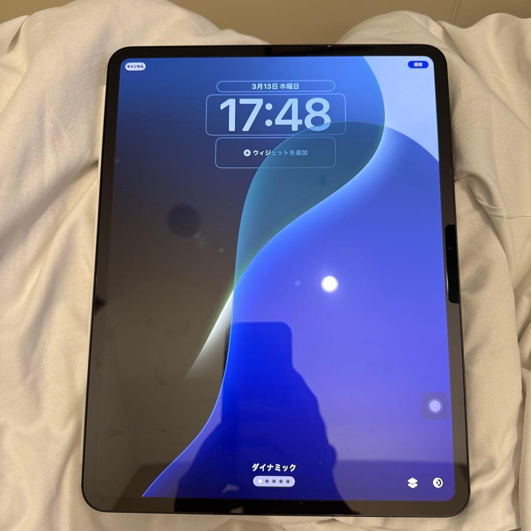 nya-son13㌅ iPad Pro M4 1T Nanotexture