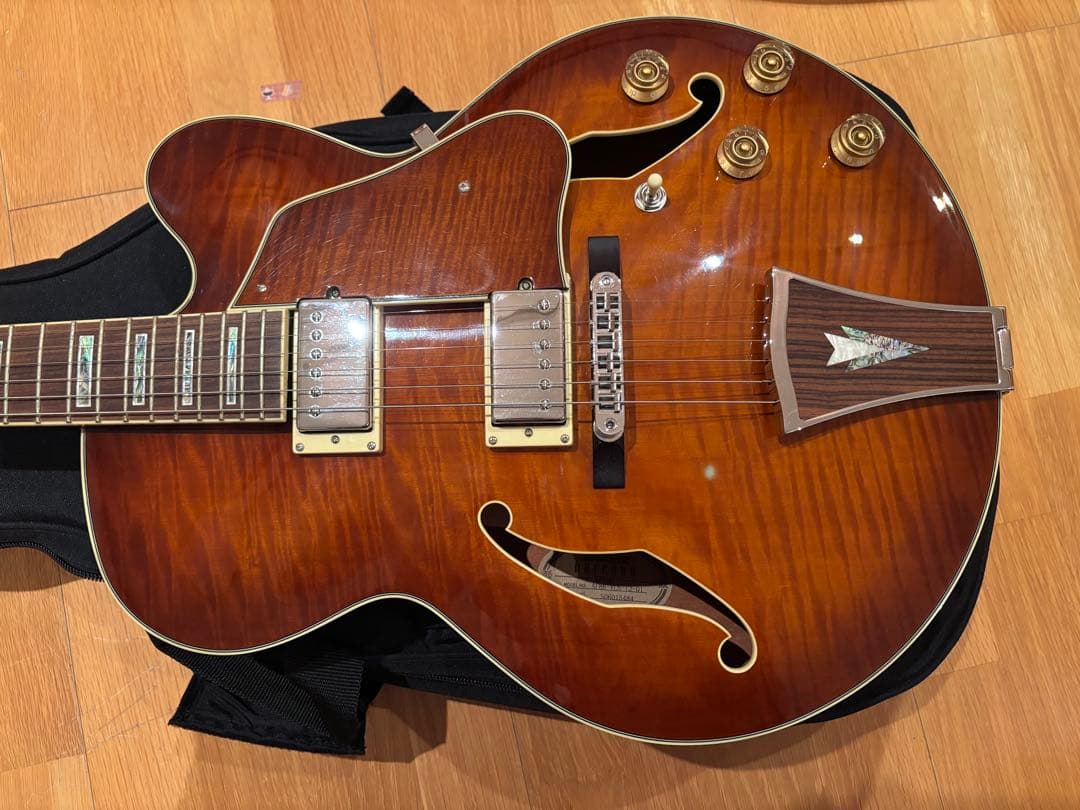 Ibanez Artcore フルアコースティックギター