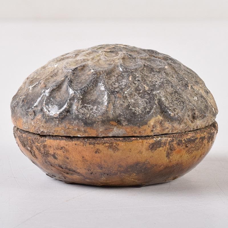 茶道具　大樋焼　菊形　香合　時代箱　N　7468