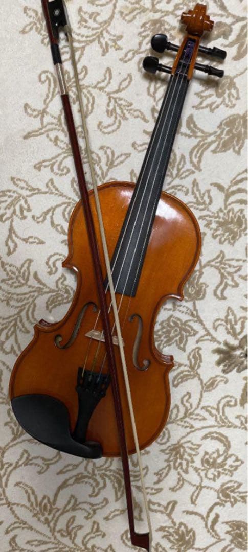 バイオリン イーストマン　本体とケース付き