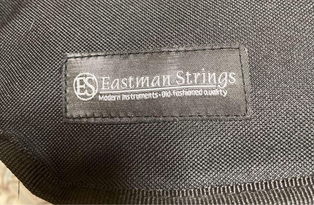 バイオリン イーストマン　本体とケース付き