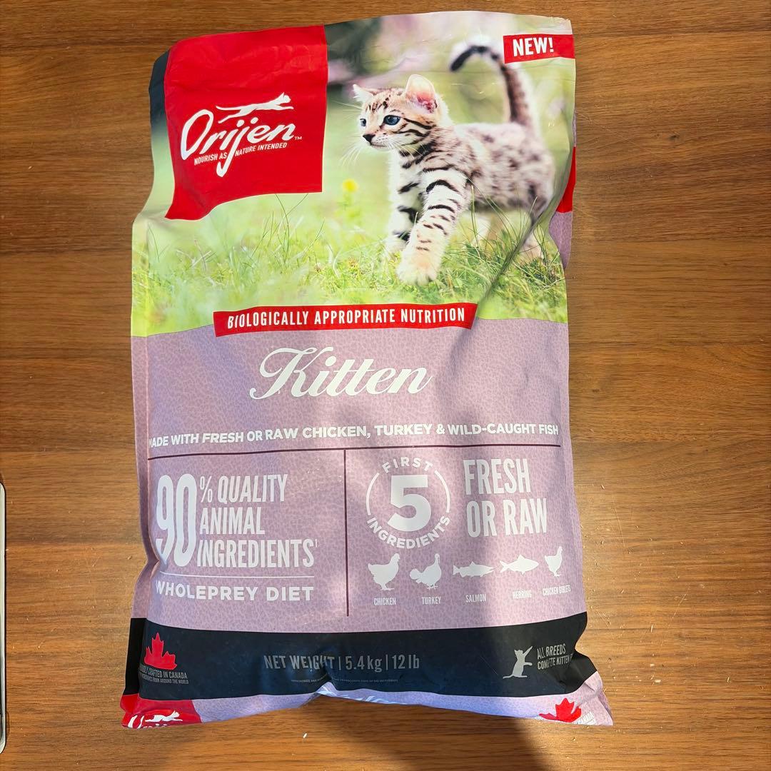 オリジン　キトゥン【正規品】　5.4kg