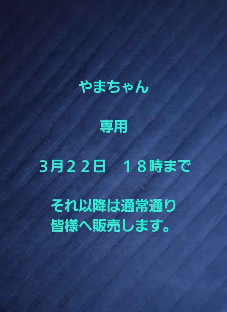 SONY FE 85mm F1.8 単焦点レンズ 　SEL85F18