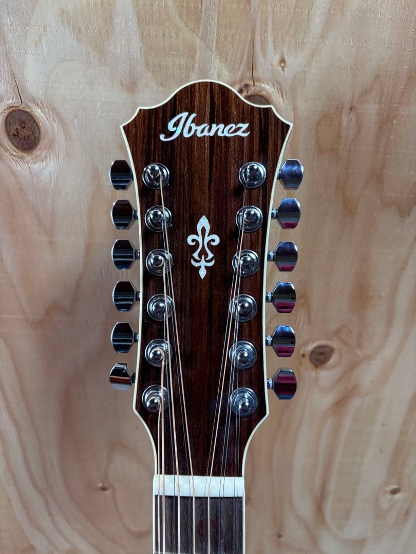 Ibanez オールマホガニー　トップ単板12弦 エレアコ　純正ギグケース付