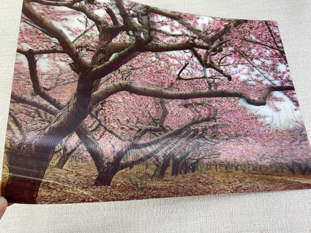 立体アート３点　額縁１点　虎 山の風景 桜風景　cc746