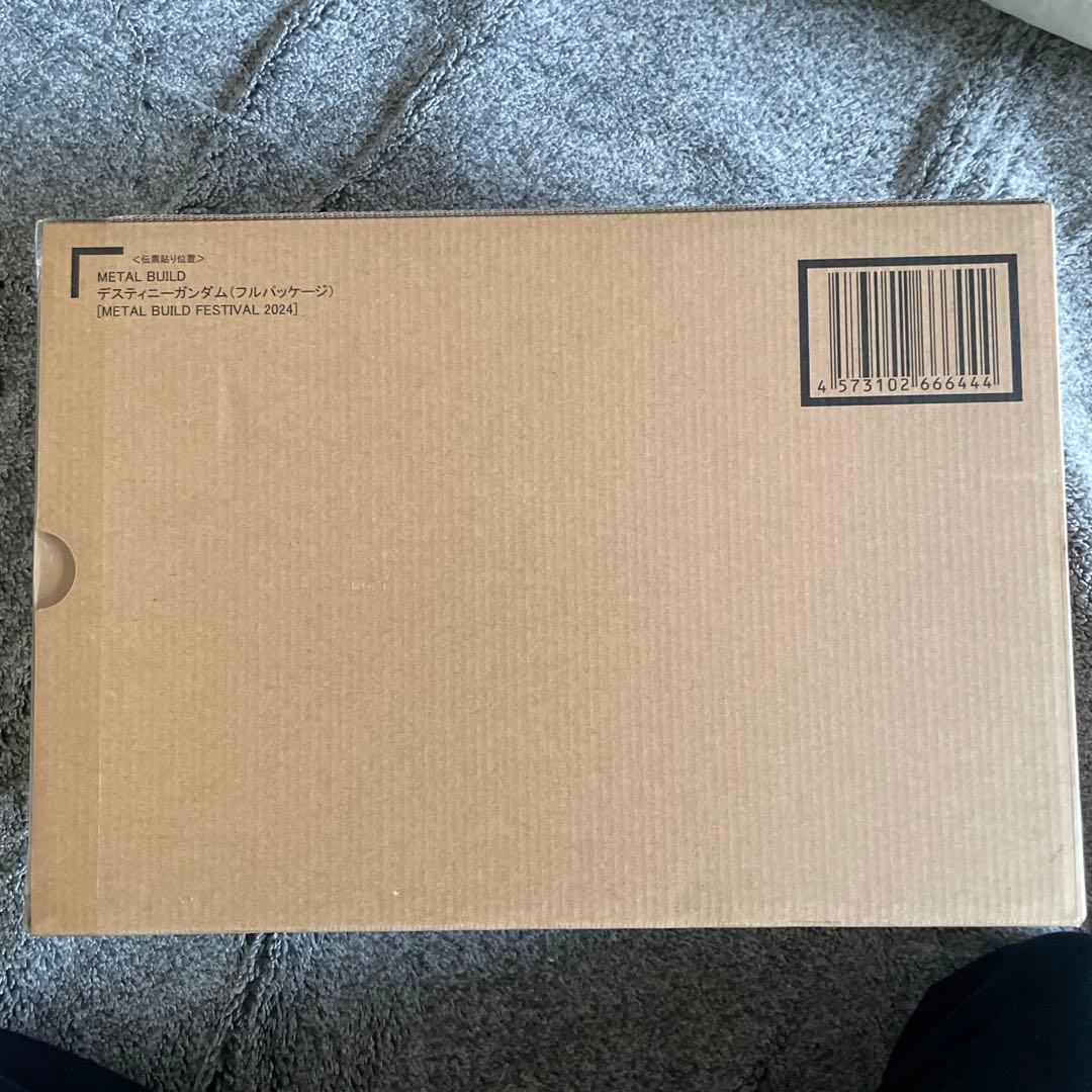 デスティニーガンダム L BUILD 2024