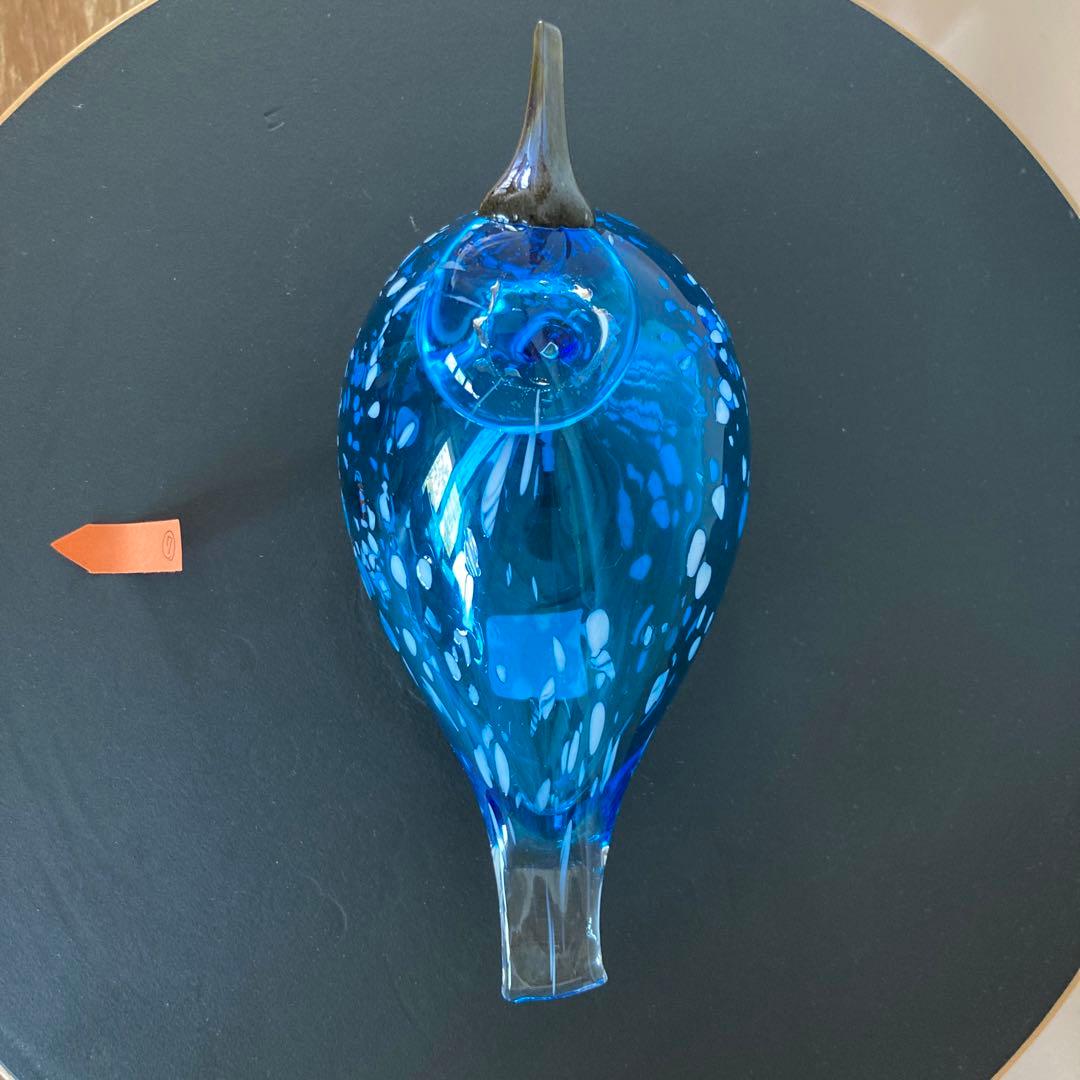 イッタラバード　ブルーフィンチ　blue finch ⑦