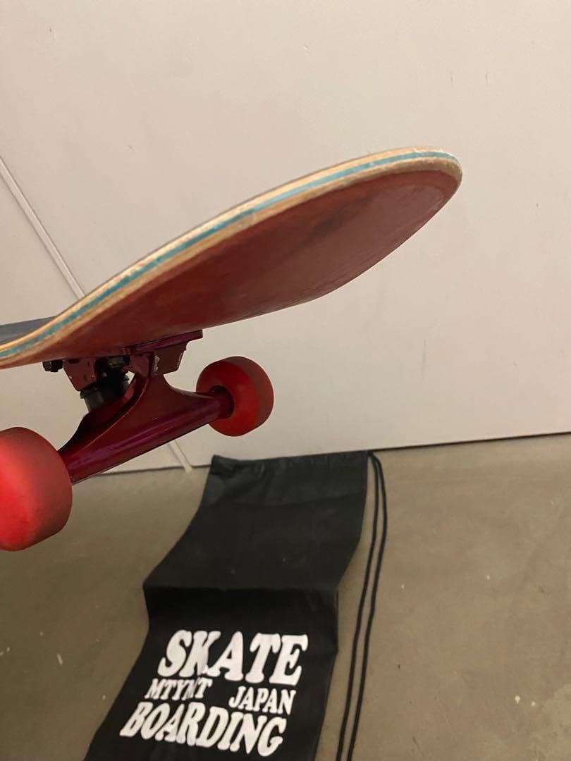 む*様 Santa Cruz スケートボード コンプリート スケボー サンタクル