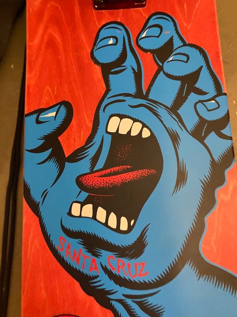 む*様 Santa Cruz スケートボード コンプリート スケボー サンタクル