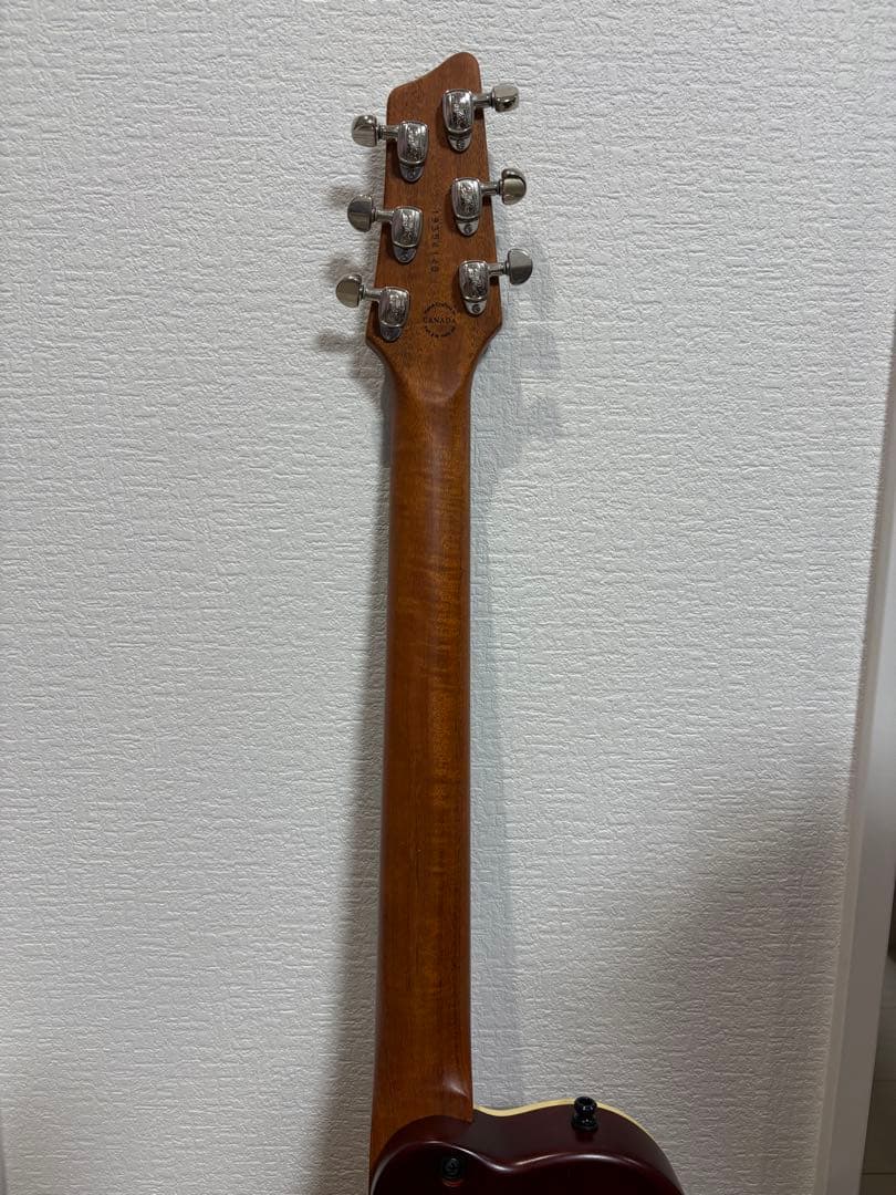 ギター Godin Guitars A6 ULTRA Natural SG