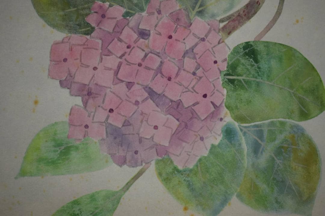 真作/宋甫/あじさい図/桐共箱付/布袋屋掛軸HJ-563