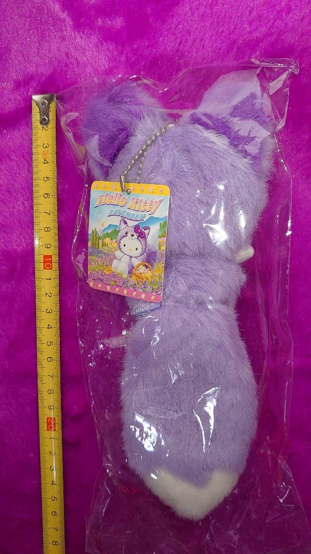 北海道限定ハローキティ キタキツネぬいぐるみマスコット2004