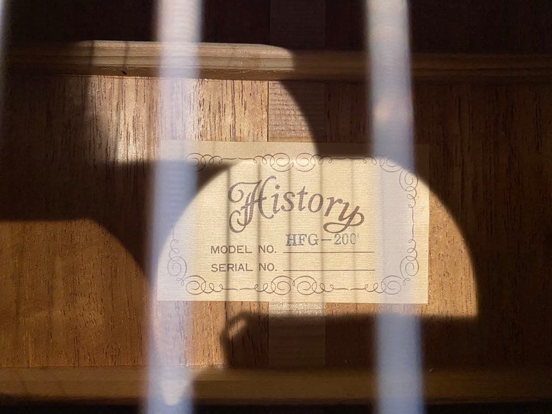 History HFG-200 フレット交換済み　調整済み