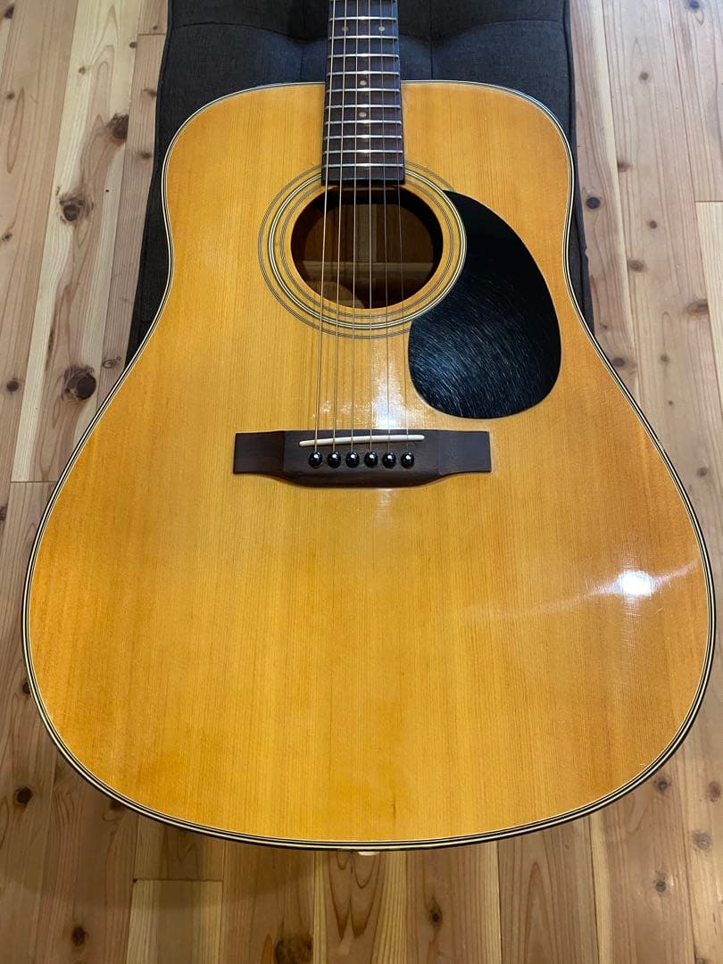 History HFG-200 フレット交換済み　調整済み