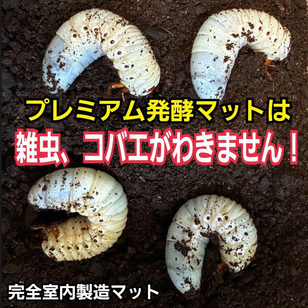 カブトムシ幼虫がビッグに！プレミアム3次発酵マット【90リットル】産卵にも抜群！