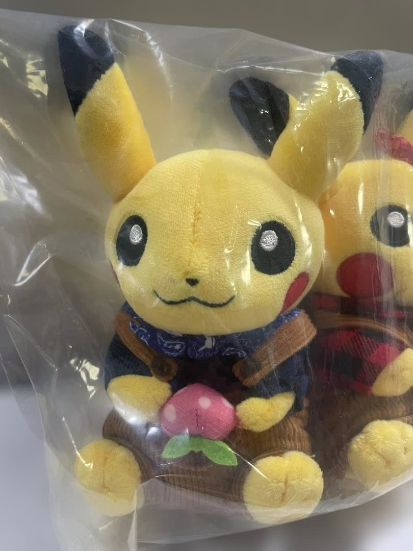 ポケモン マンスリーペアピカチュウ 10月 ピカチュウ ぬいぐるみ