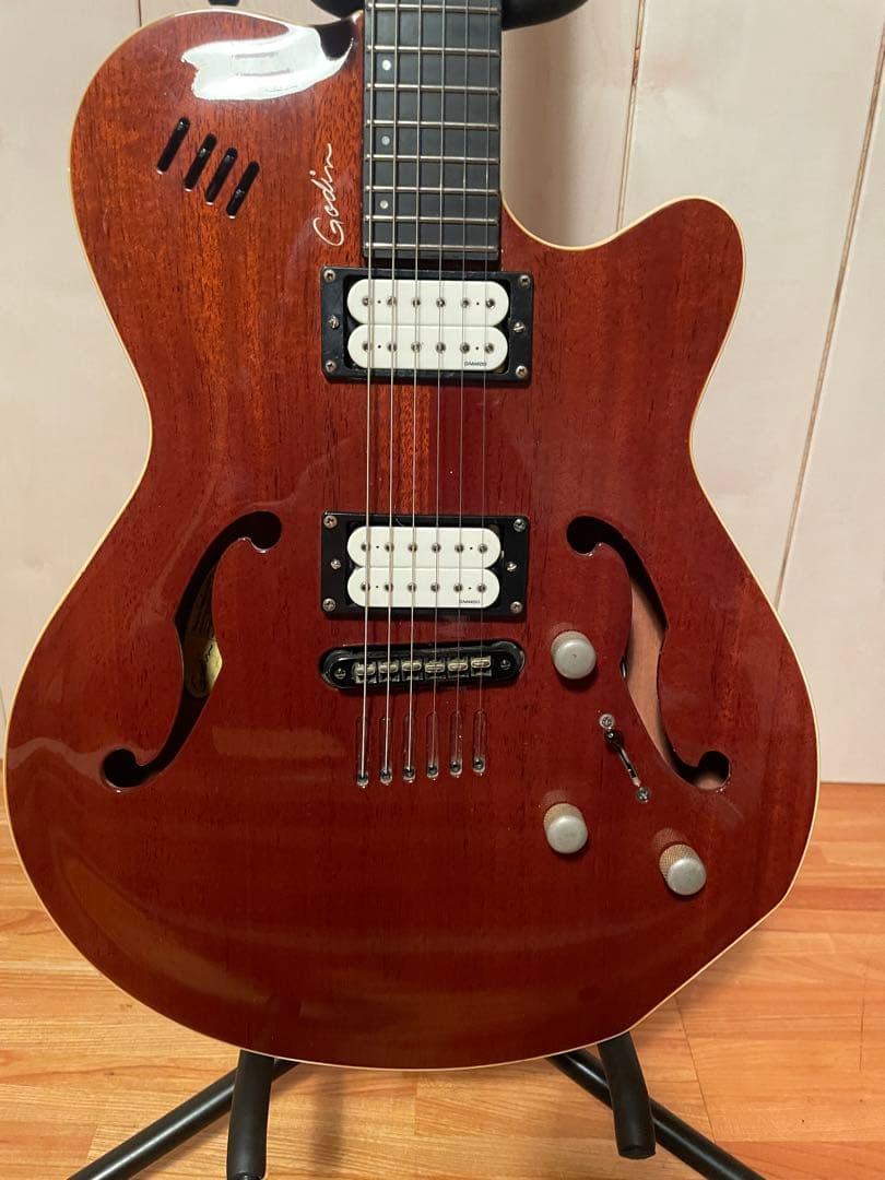 godin セミアコ　ゴダン　ギター　アコギ　dimarzio