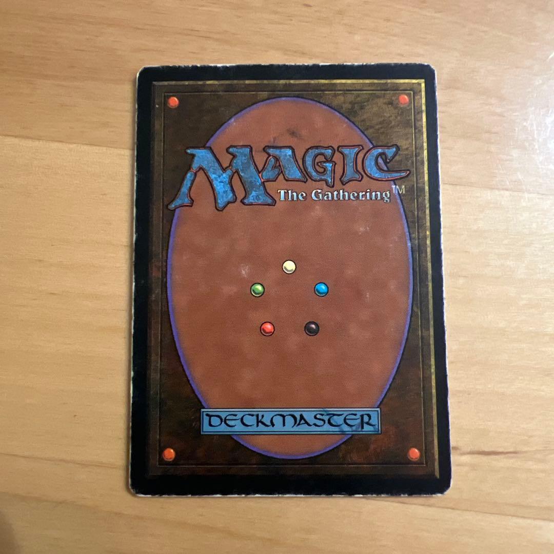 MTG Scrubland 英語版