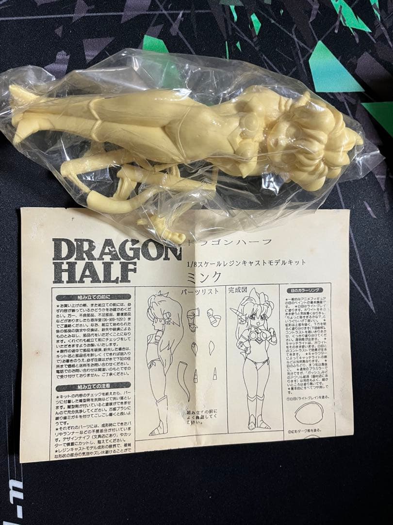 ひろひろ　海洋堂 1/8 ドラゴンハーフミンク① ②ガレージキット ガレキ