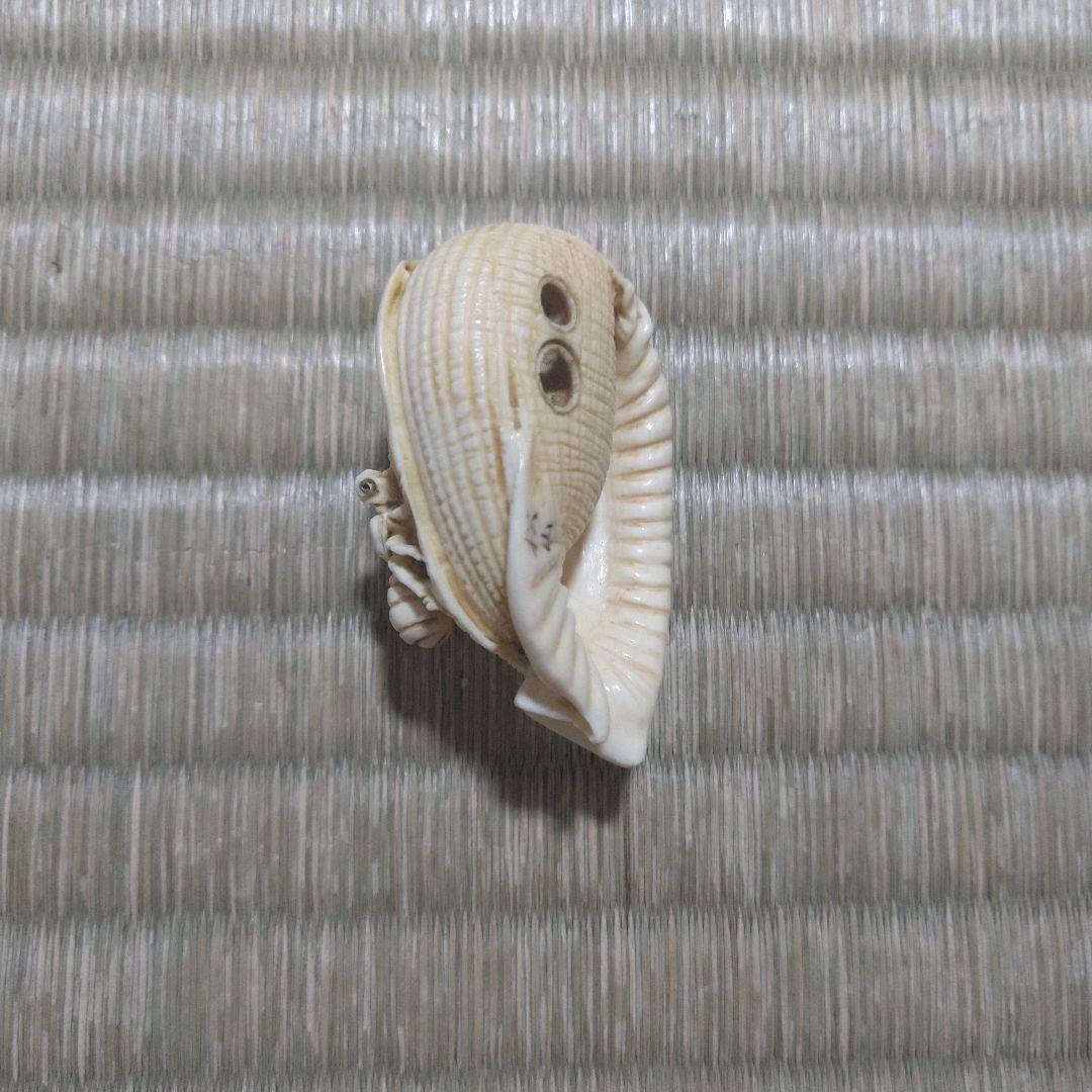 マンモス牙彫　根付　帯留　貝殻に蟻