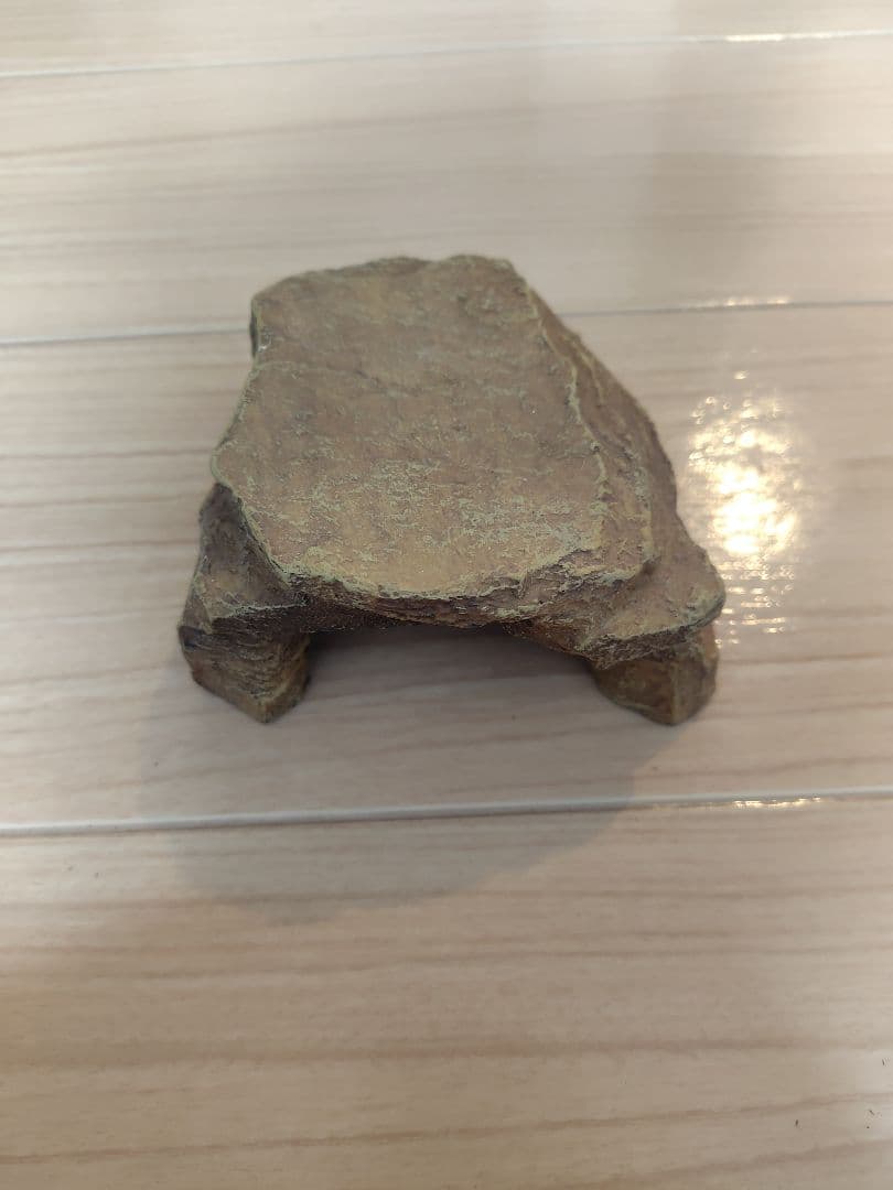 爬虫類飼育セット　最終値下げしました！