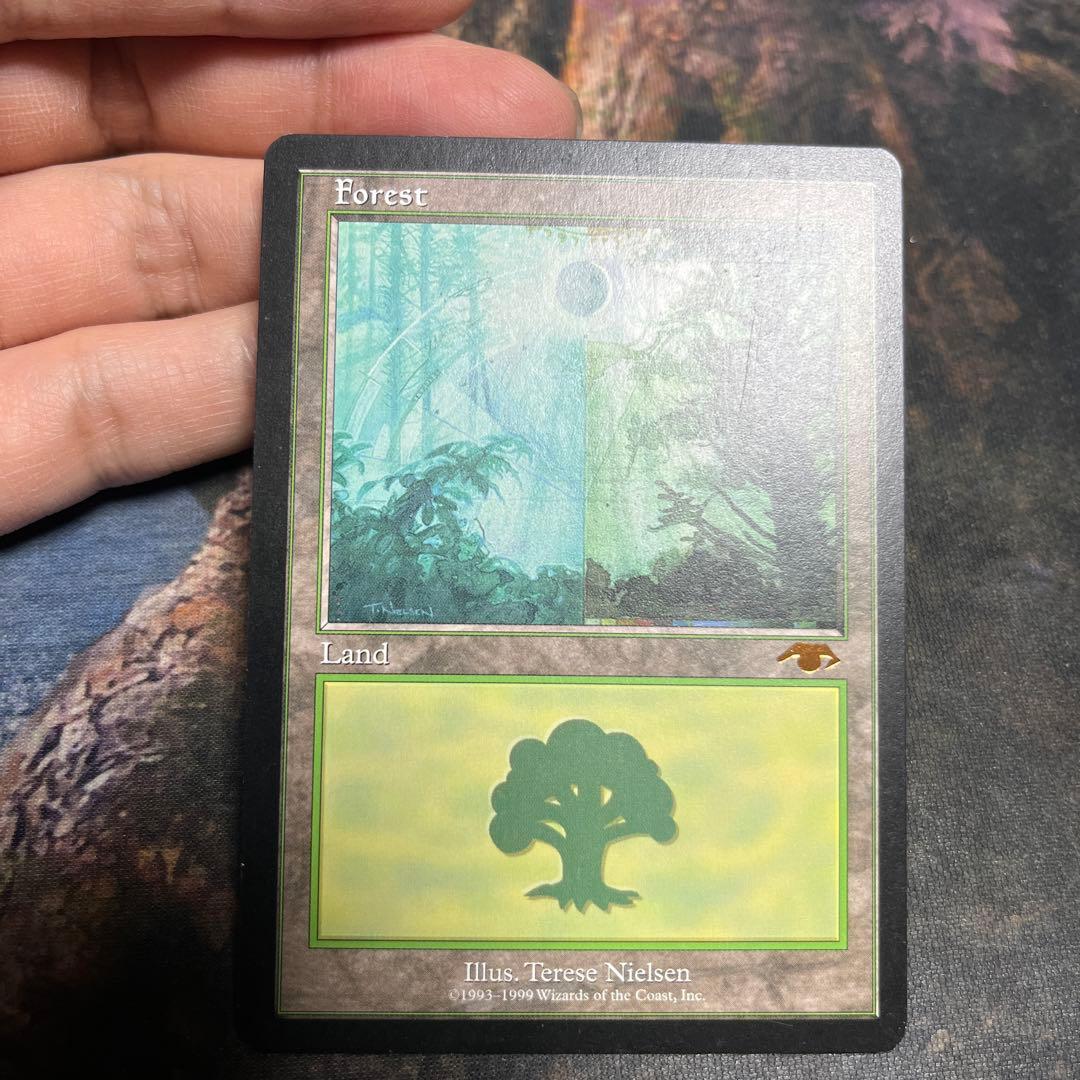 MTG グルランド　森　forest guru