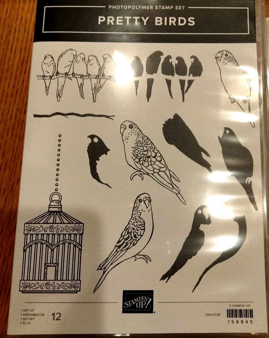 お値下！未使用　インコの可愛いスタンプ＆ダイ　スタンピンアップ