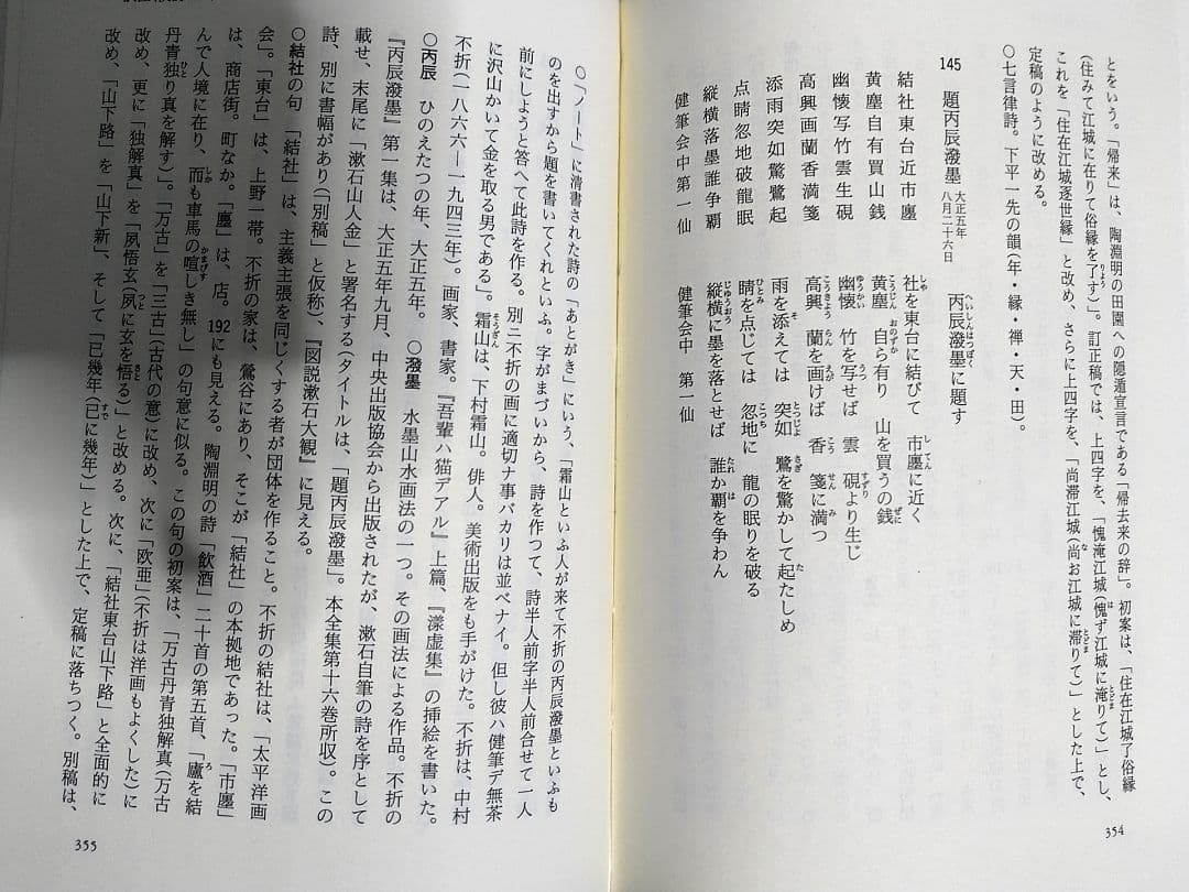 全集所載品 夏目漱石 題丙辰潑墨 大正5年 中村不折に寄せた詞