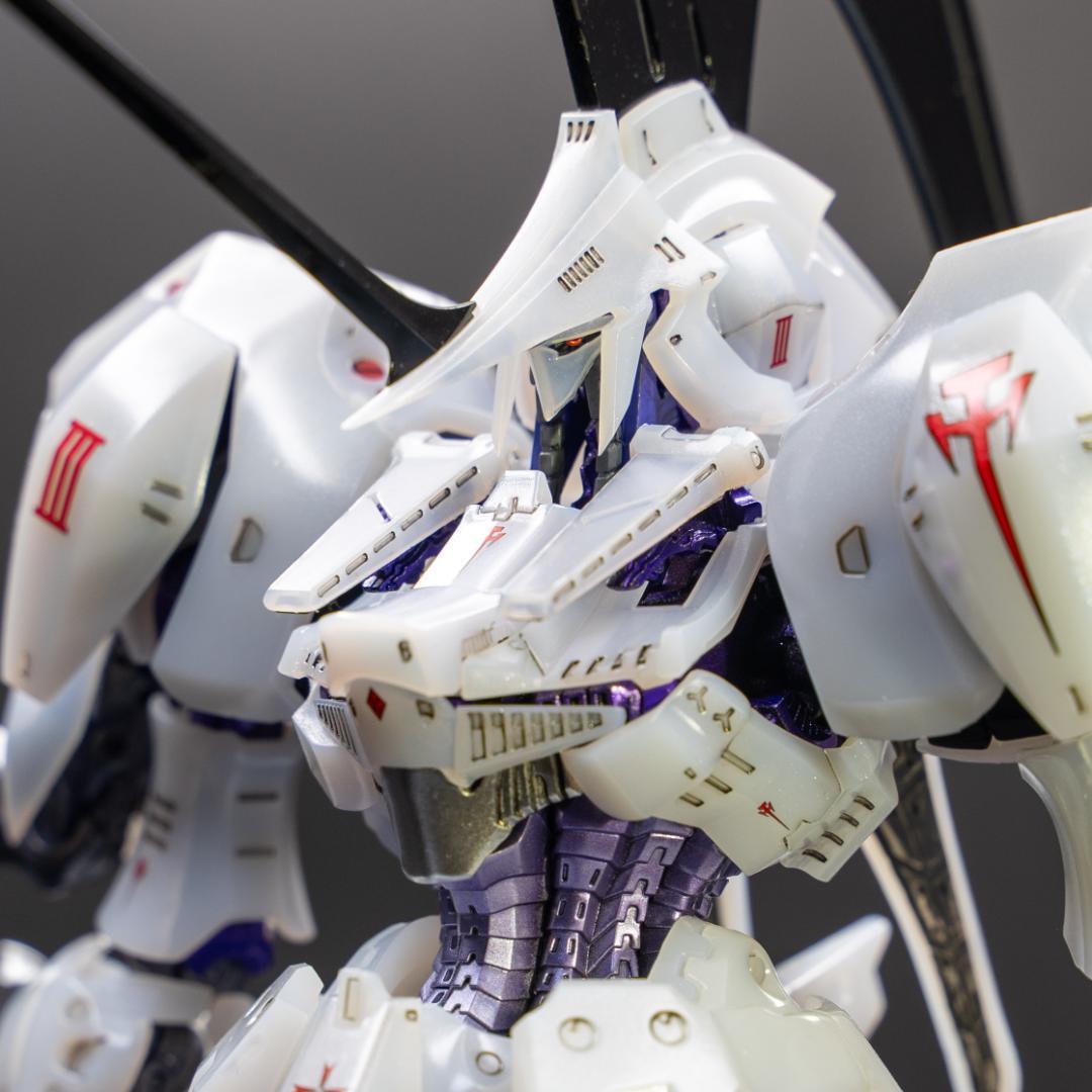 IMS 1/100 LEDミラージュV3 デルタベルン3007 完成品