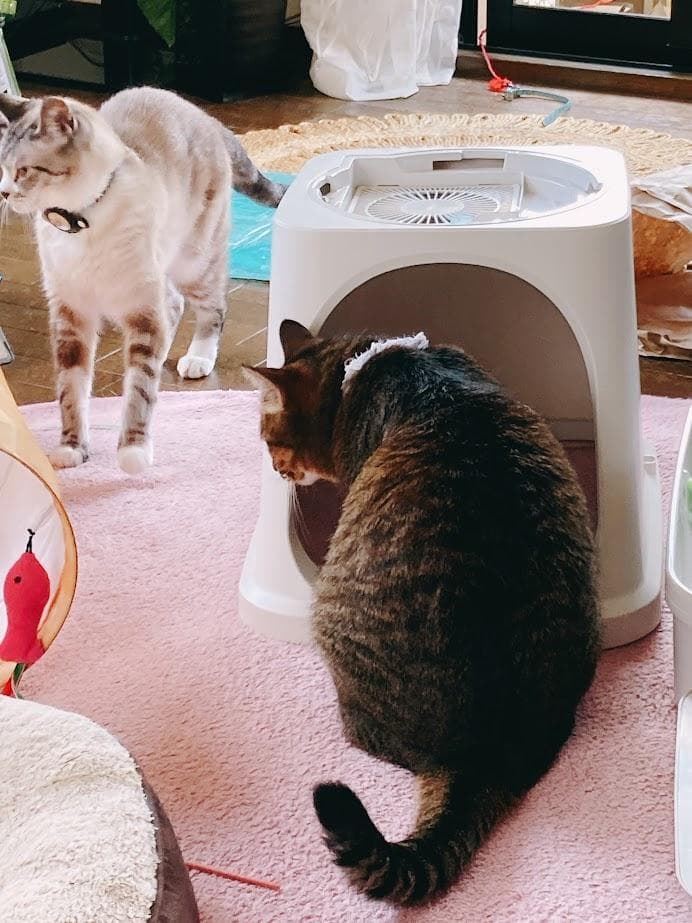 ※専用※【したてウンチもニオわないデオトイレ脱臭ファン】