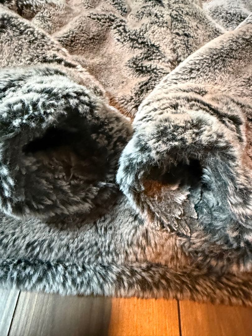 【最終値下げ】ZARA アウター