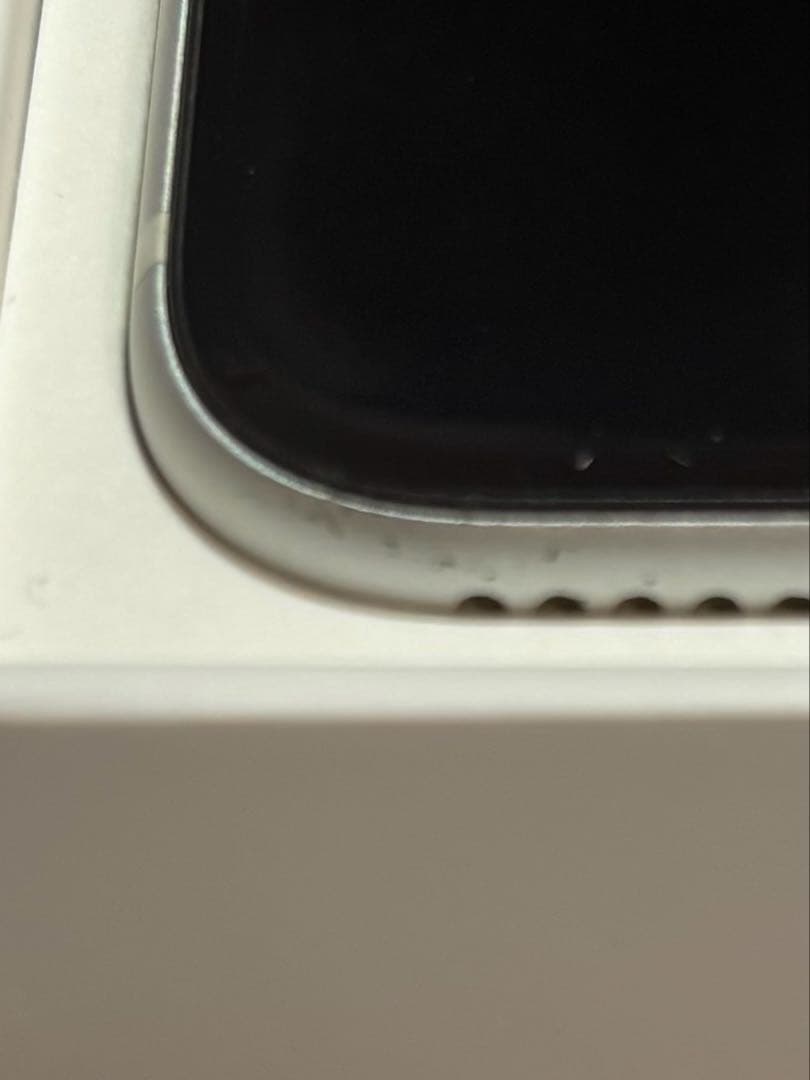 Apple iPhone SE (第2世代) シルバー 本体　ジャンク