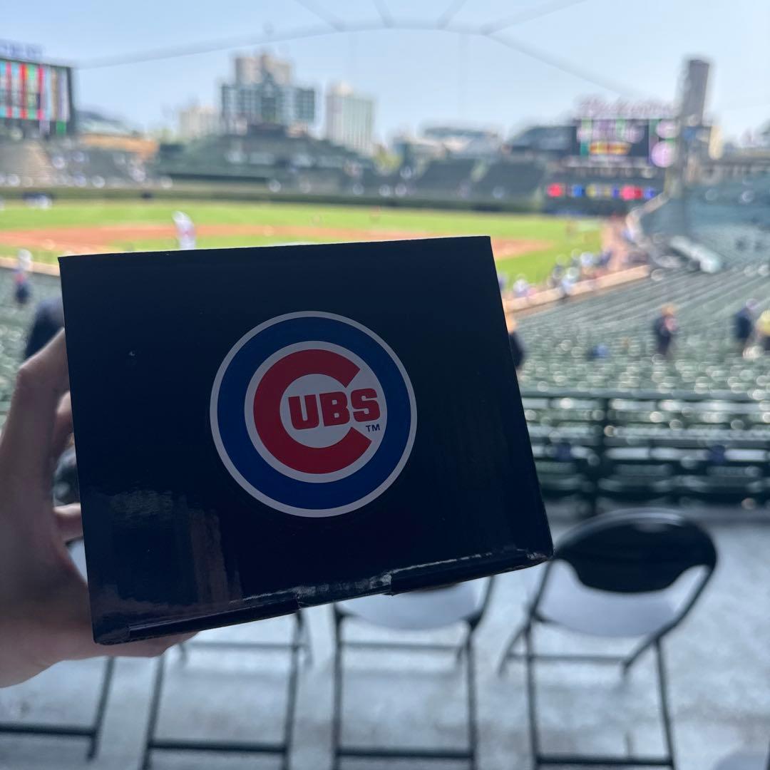 【祝地区シリーズ進出】カブス　今永ボブルヘッド&トートバッグ　非売品　セット売り