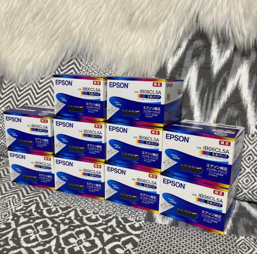 EPSON純正インクカートリッジ IB06CL5A