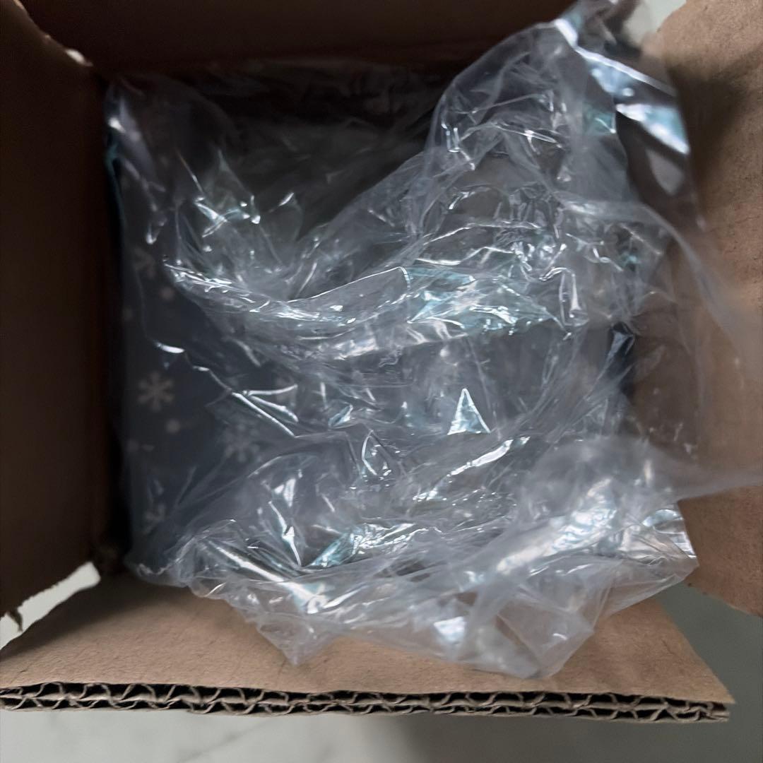 Nissyグッズ　2025 Lippy&Rujjuスノードーム 新品