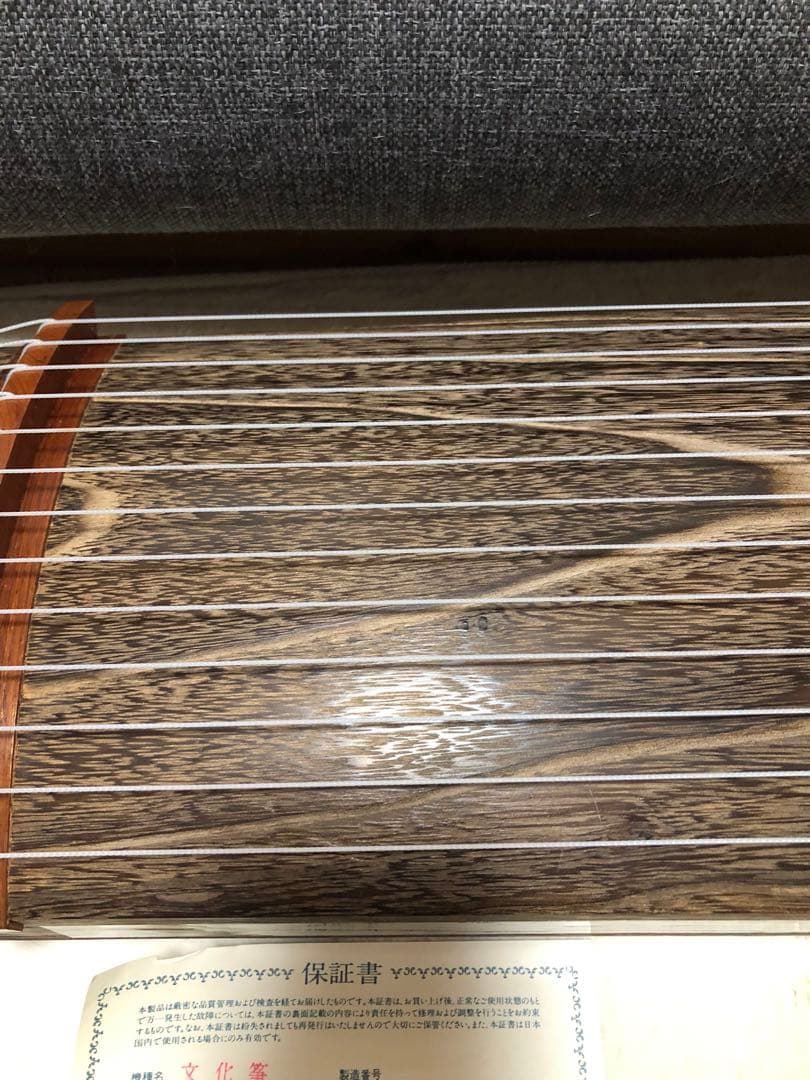 ゼンオン 文化琴 ケース付き