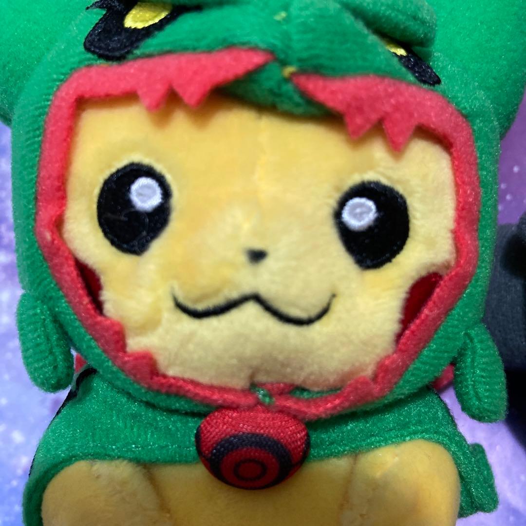 ポケモンセンター限定　スカイツリー　レックウザ2種　　　　 ポンチョマスコット