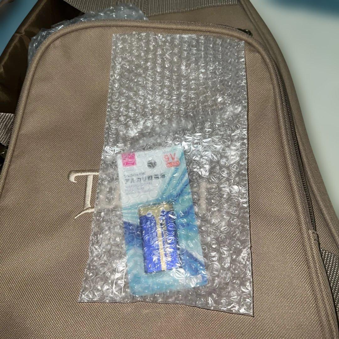 Taylor ベビーテイラー マホガニー MAHOGANY BT2　ミニギター