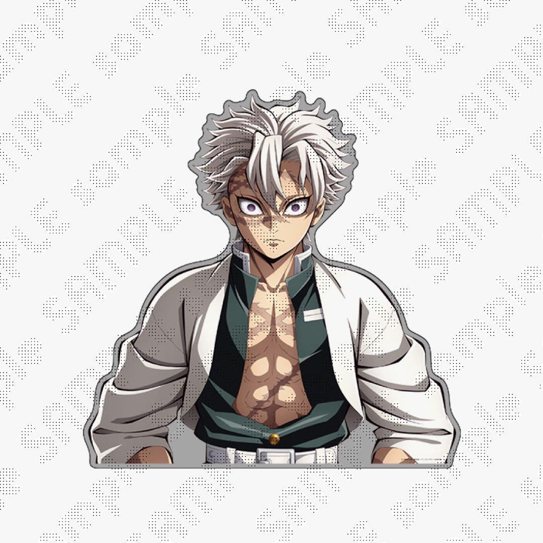 鬼滅の刃 不死川実弥 柱稽古編 KV アナザーカット バストアップアクリルパネル