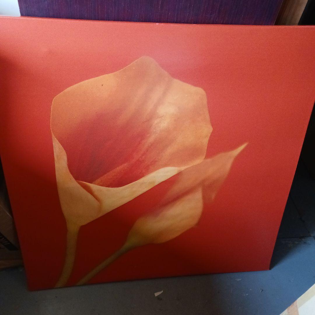 花のアートパネル インテリア雑貨 オレンジ poht-2205-01 つ178