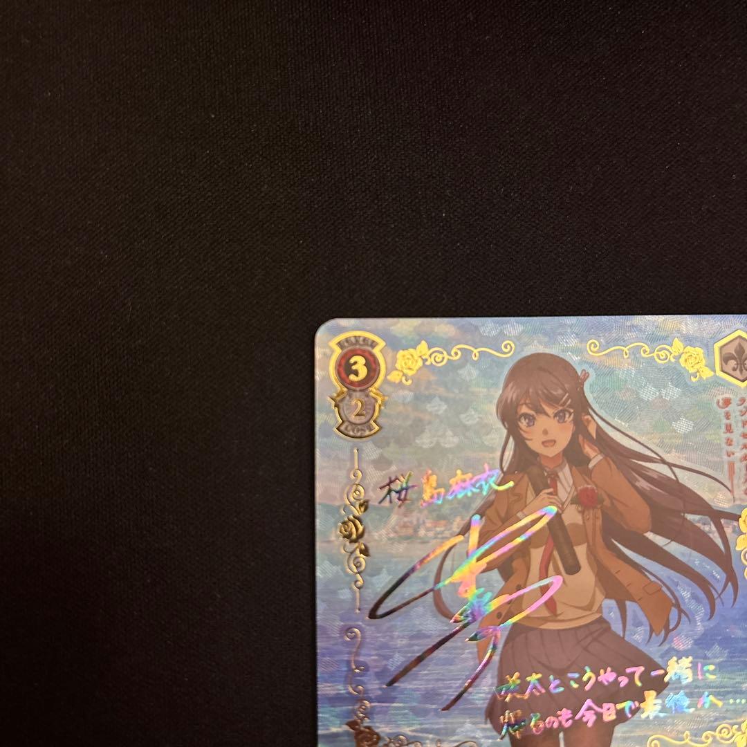 ヴァイスシュヴァルツ　青ブタ　君と過ごした一年間　桜島麻衣　ABR サイン