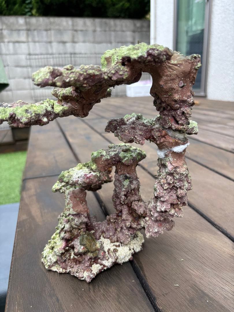 ライブロック 2点セット JSコーラル